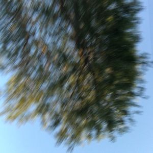 Meet your Posher, Cadence